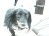 Sully