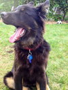Kenny G