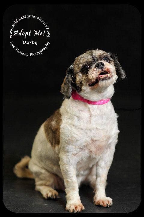 Miss Darby