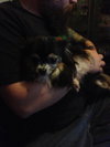 Bugsy