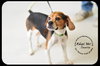 Charlie