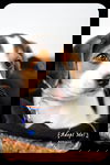 Atticus -Puppy