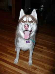 Atka