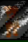 Frodo