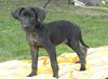 Smalls-Foster Needed