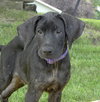 Smalls-Foster Needed