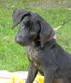 Smalls-Foster Needed