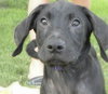 Smalls-Foster Needed
