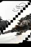 Gidgie Puppy