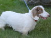 Tommy-Deaf