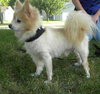 Colby