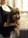Oliver