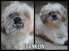 Franklin