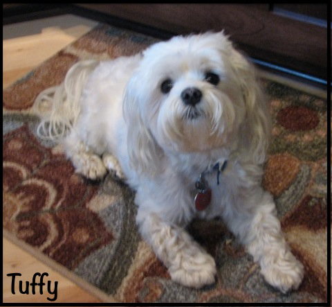 Tuffy