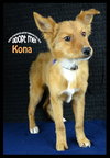 Kona