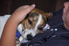 Huckle