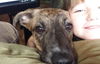 Keeley Puppy