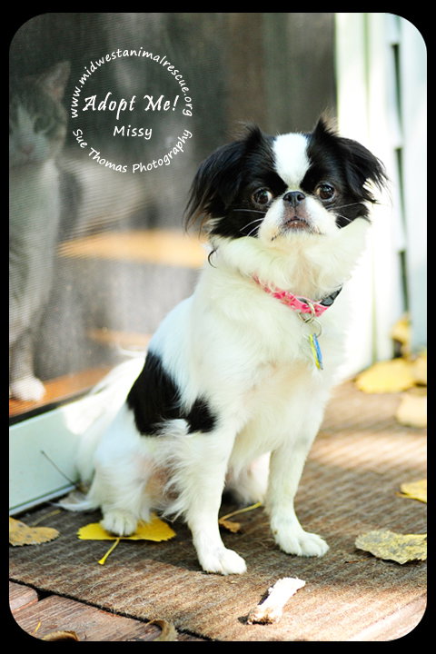Missy