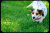 Gertie