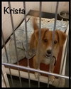 Krista