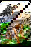 Geo