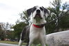 Max