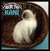 Kani