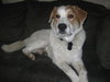 Tucker
