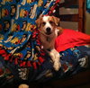 Tucker