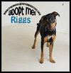 Riggs