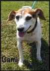 Cami