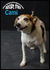 Cami