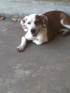 Betty