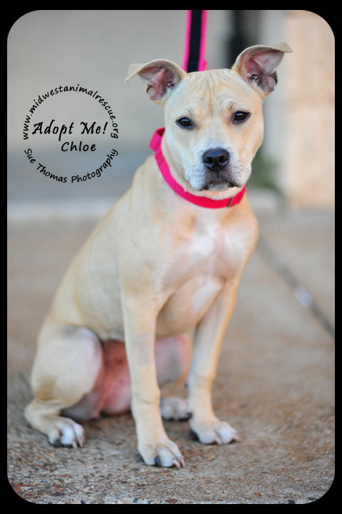 Chloe