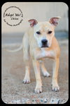 Chloe
