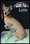 Lotte
