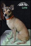 Lotte