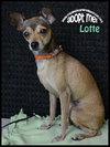Lotte