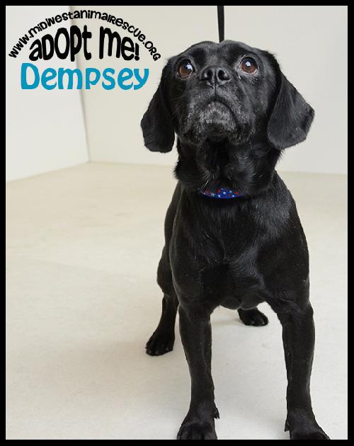 Dempsey