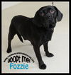 Fozzie