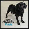 Fozzie