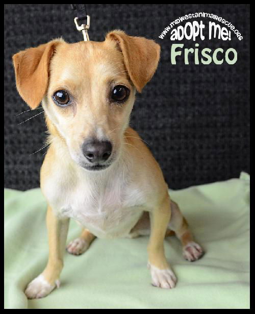 Frisco