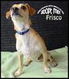 Frisco