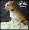 Frisco