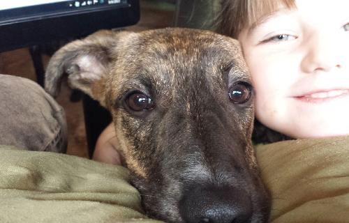 Keeley Puppy