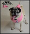 Lilo