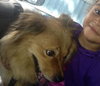 Lila