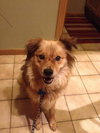 Lila