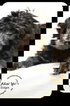 Gidgie Puppy