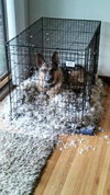 Buster